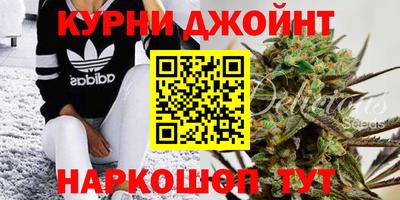 дживик Гусев