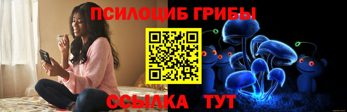 Моздок  Галлюциногенные грибы мицелий  Вход с VPN 